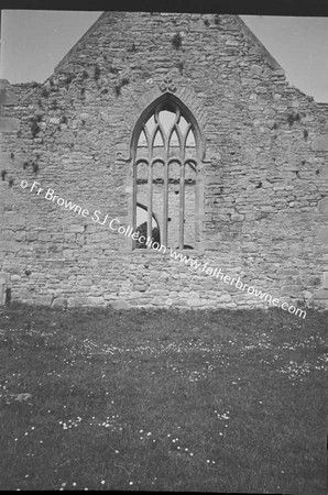 ARDFERT FRIARY SCENES